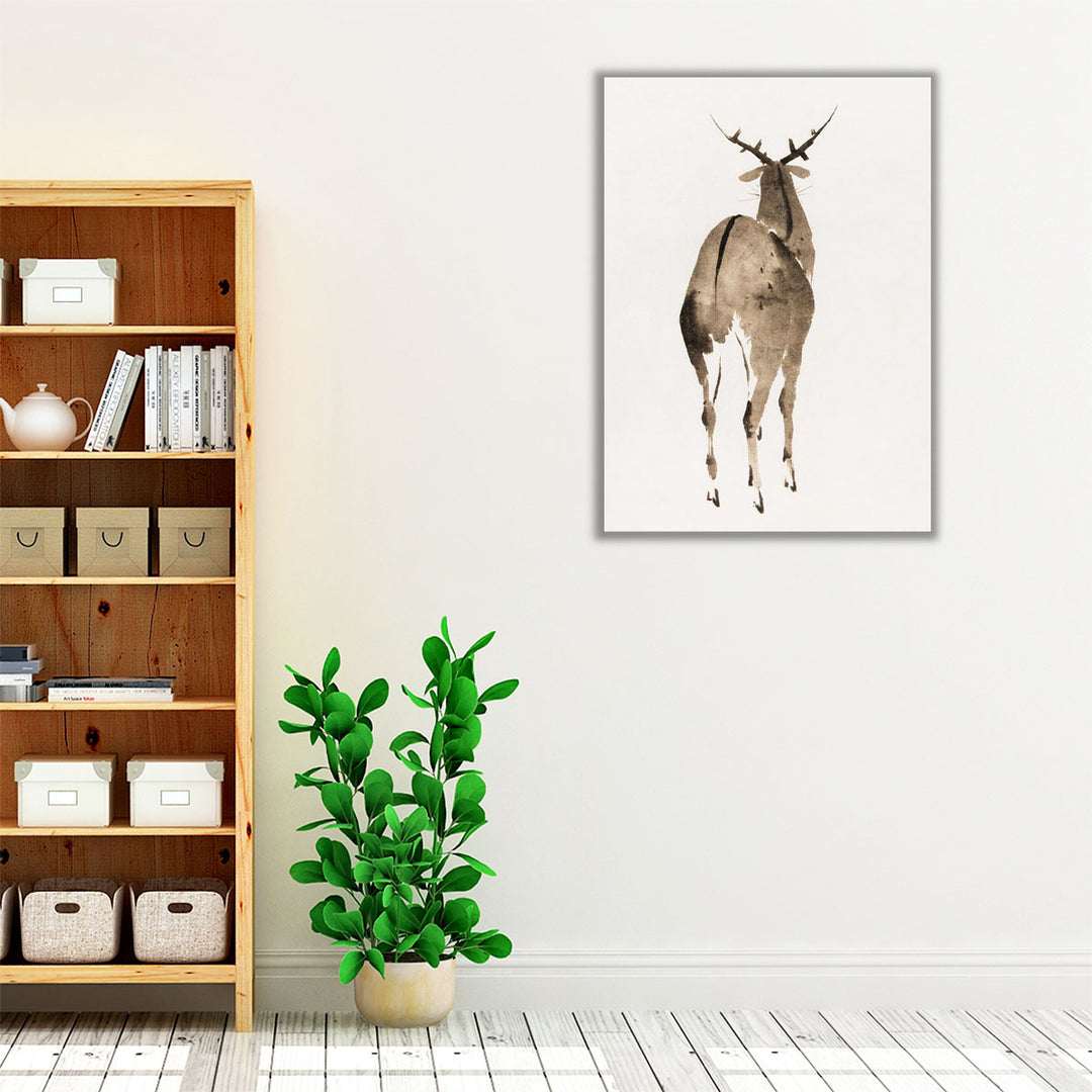 Deer, 1904 - Canvas Print Wall Art