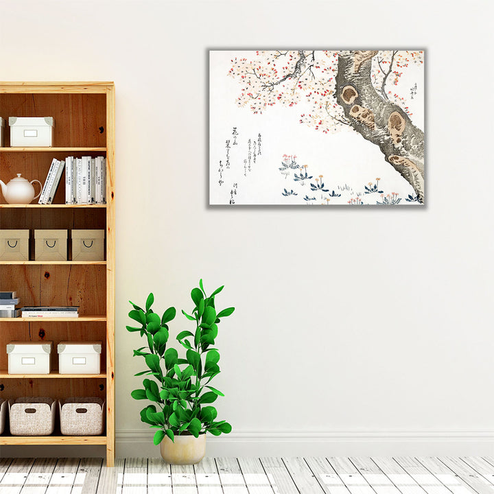 Cherry Tree - Canvas Print Wall Art