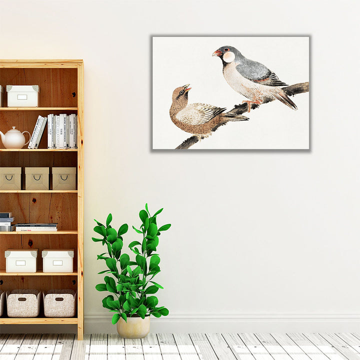 Birds, from Album of Sketches - Canvas Print Wall Art