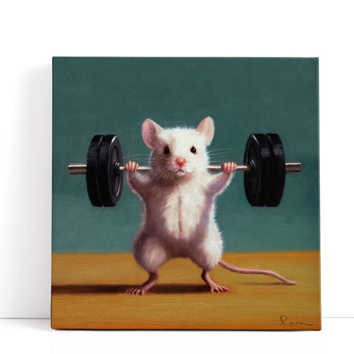 Gym Rat Back Squat - Canvas Print Wall Art